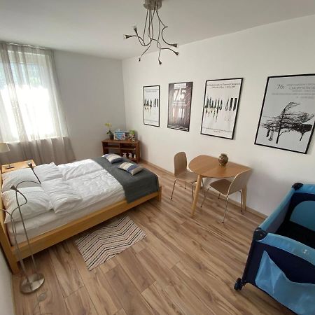 Apartament Niebieski Duszniki Zdrój Zewnętrze zdjęcie